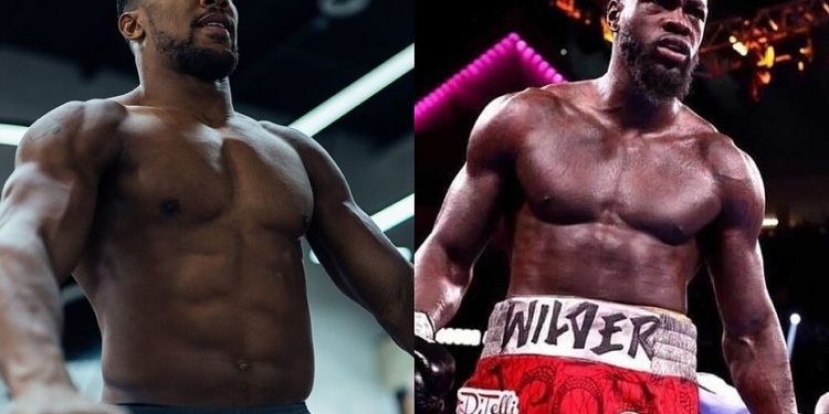 Joshua, Wilder agree two-fight deal