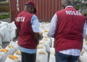 Kogi NDLEA seizes 6,911.28kg illicit drugs, arrests 273 suspects in 2023