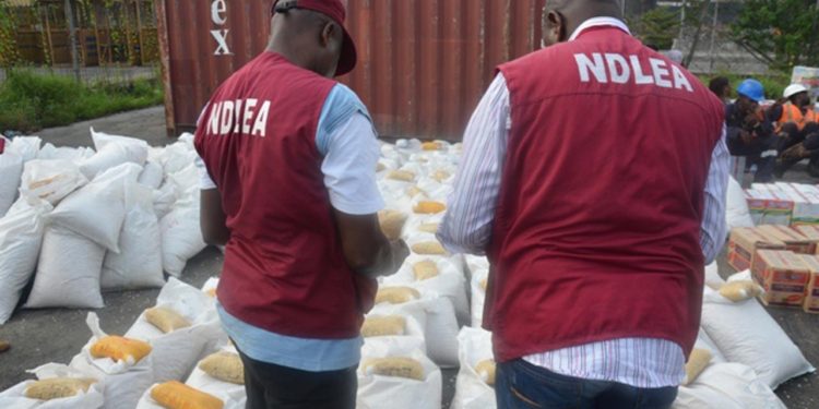 Kogi NDLEA seizes 6,911.28kg illicit drugs, arrests 273 suspects in 2023