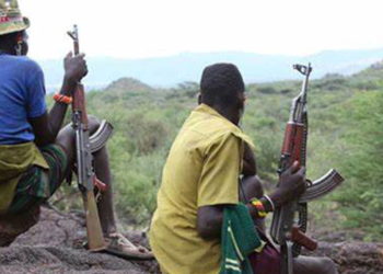 Revisiting the ravaging banditry in Niger state