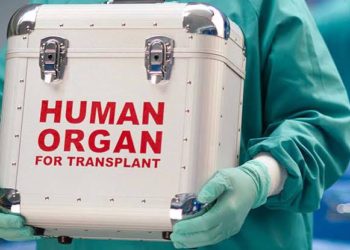 Organ harvesting in Abuja: FG vows to prosecute culprits