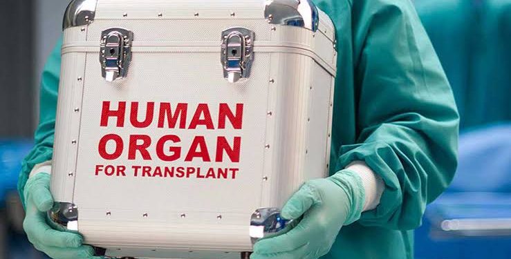 Organ harvesting in Abuja: FG vows to prosecute culprits