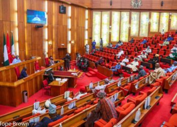 Senate seeks independent budgetary provision for NiDCOM