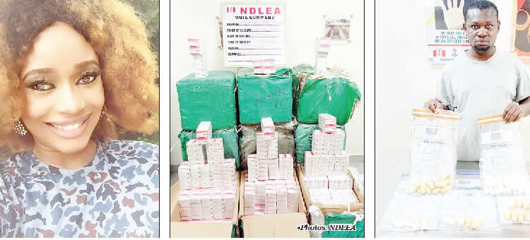 NDLEA declares beauty queen wanted, nabs Brazil returnee