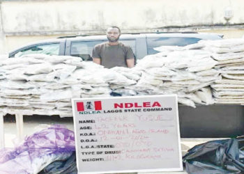 NDLEA nabs 42-year-old, seizes Canadian Loud consignment