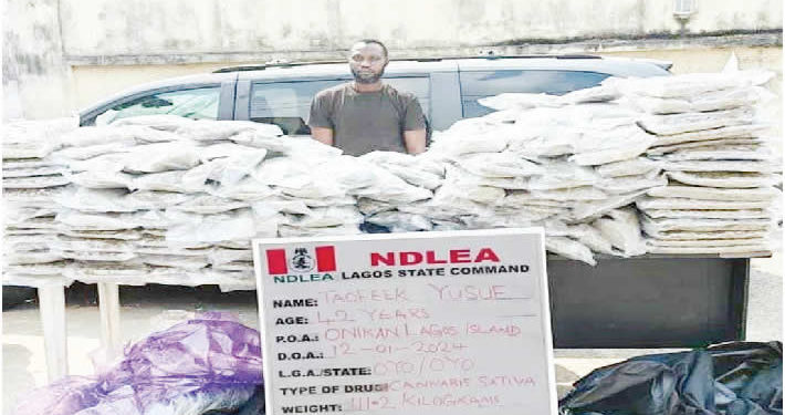 NDLEA nabs 42-year-old, seizes Canadian Loud consignment