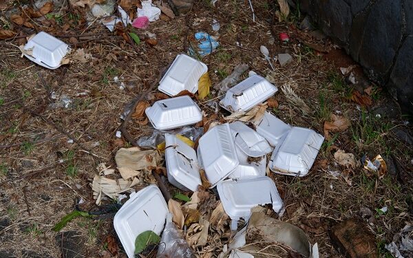 Fed govt to ban single-use plastics, styrofoams in MDAs