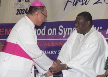 Terrorists, fraudsters, economic manipulators pose threat to Nigeria, CBCN warns