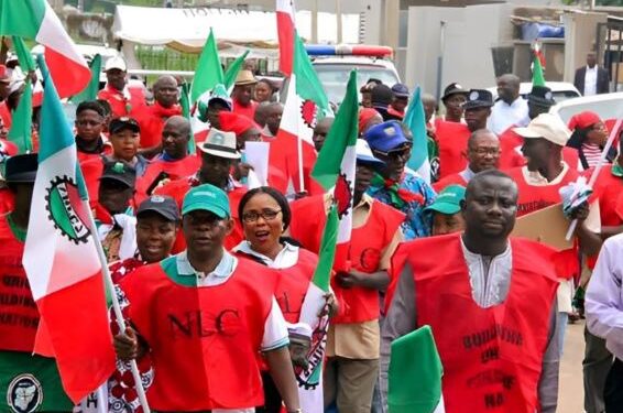 NANS begs NLC, TUC to shelve planned strike