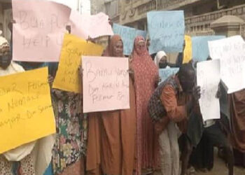 Widows protest flour price hike in Kano