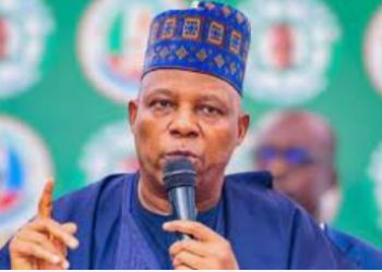 Tinubu taking responsibility for Nigeria’s challenges- Shettima