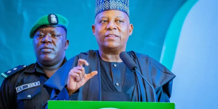 Hardship: We shall reap bountiful harvests in coming months, Shettima assures Nigerians
