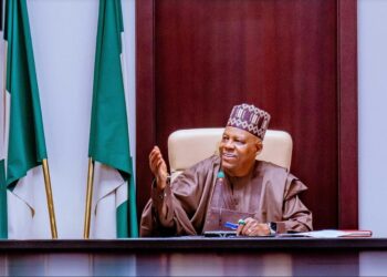 NEC sits over state police as govs plan forest guards