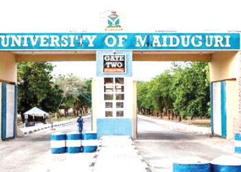 Eight arrested as hoodlums kill UNIMAID lecturer on campus