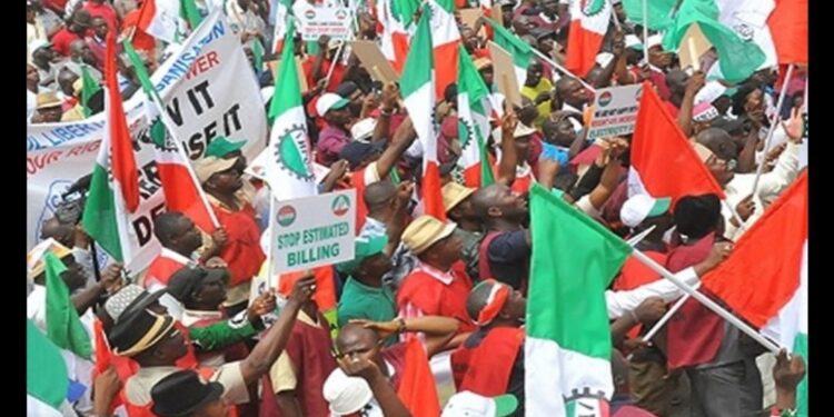Workers will rather work for free than accept N48,000 — NLC