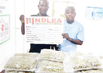 NDLEA arrests couple running drug cartel, rejects N6m bribe