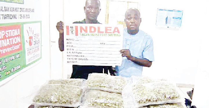 NDLEA arrests couple running drug cartel, rejects N6m bribe