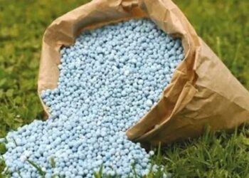 “NSCDC Arrests Seven for Selling Sand Disguised as Fertilizer in Gombe”