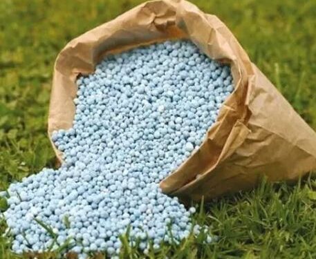 “NSCDC Arrests Seven for Selling Sand Disguised as Fertilizer in Gombe”