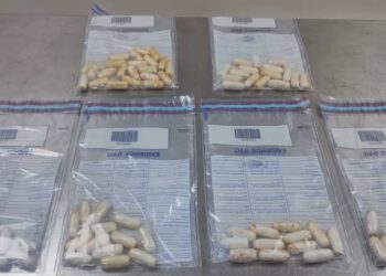 Immigration Officer and Three Others Arraigned for Drug Trafficking