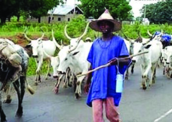 One Killed, Businesses Halted as Ogun Hunters and Herders Clash