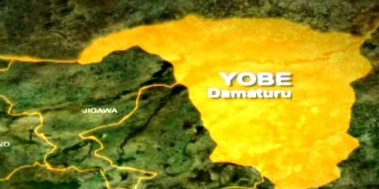 Suspected Boko Haram Insurgents Launch Deadly Attack in Yobe, Villagers Feared Dead