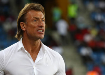 Hervé Renard Explains Why He Turned Down Super Eagles Coaching Offer