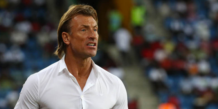 Hervé Renard Explains Why He Turned Down Super Eagles Coaching Offer