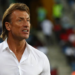 Hervé Renard Explains Why He Turned Down Super Eagles Coaching Offer