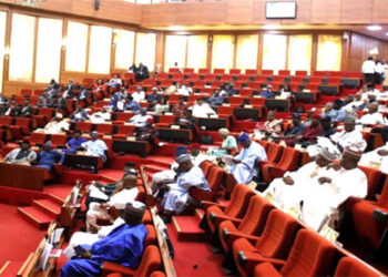“Senate Holds Emergency Session Amid Heated Debate Over Local Government Autonomy Enforcement”