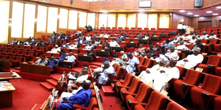“Senate Holds Emergency Session Amid Heated Debate Over Local Government Autonomy Enforcement”