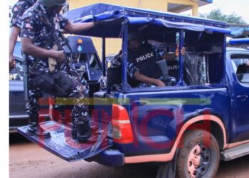 Ebonyi Police Arrest Four in Organ Harvesting Case, Detain 177 Suspects for October Crimes