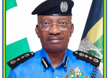 IGP Urges Nigerians to Report Police Misconduct Through Official Channels, Not Social Media