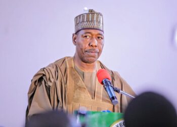 Zulum: Only Lagos Will Benefit from Tinubu’s Tax Reform Bills