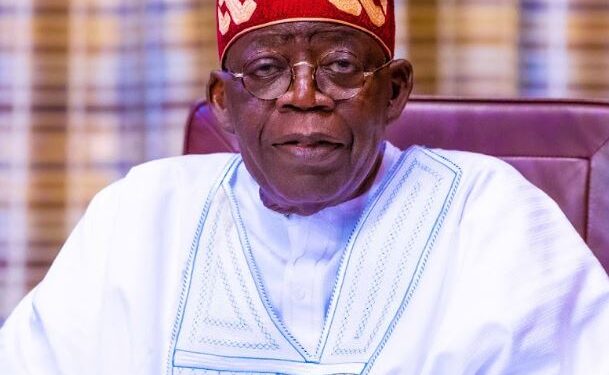 Tinubu Stands Firm on Cabinet Size, Says Downsizing Not an Option