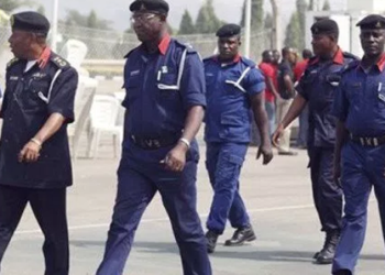 NCDC Activates Emergency Operations as Lassa Fever Cases Surge to 1,154 in 2024