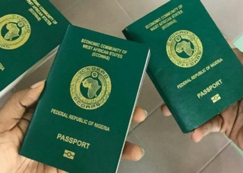 Niger Republic Blocks Nigerians with ECOWAS Passports