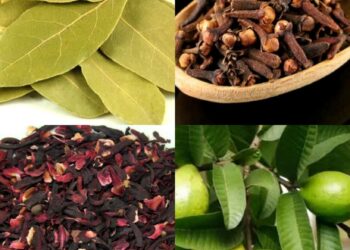 Herbal products for HBP, joint pain, others 