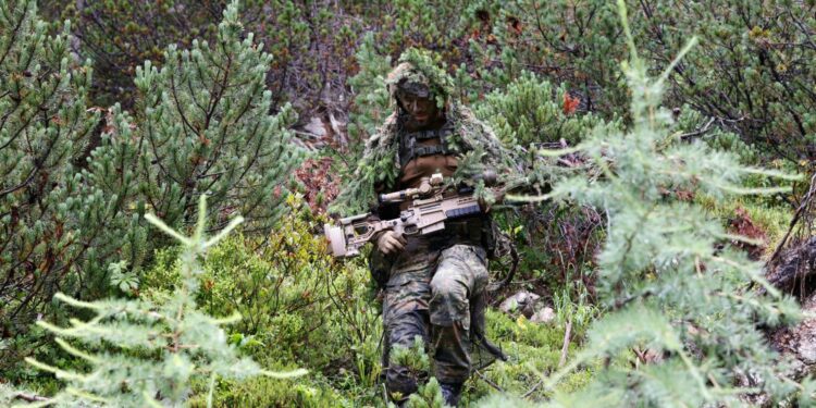 German cabinet backs voluntary military service, opening door to conscription