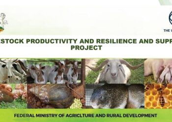 Kaduna L-PRES trains Vets on disease surveillance to curb livestock losses