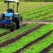 AU, Nigeria partner to revitalise agriculture, boost food production
