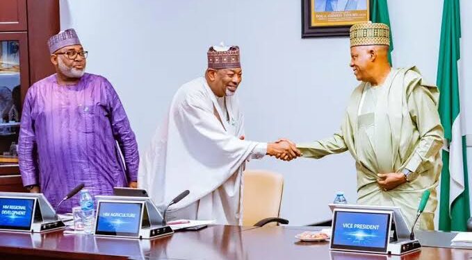 Tinubu approves 6-month temporary ban on export of sheanuts