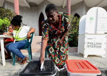 We’re growing an organic party for all Nigerians, women to get 40% of  positions – ADC national chair