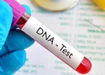Paternity uncertainty persists, testing rises to 13.1% – 2025 DNA report shows