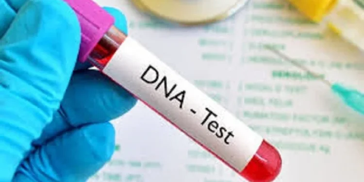 Paternity uncertainty persists, testing rises to 13.1% – 2025 DNA report shows