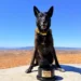 Dog who fought bull wins 2025 Hambone Award
