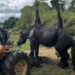 Firefighters hoist heavy horse out of bog in England