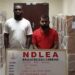 NDLEA intercepts over N3.9bn tramadol in Lagos, arrests Indian businessman, 3 others