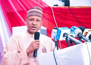 Why Tinubu’s administration introduced NELFUND – Information minister