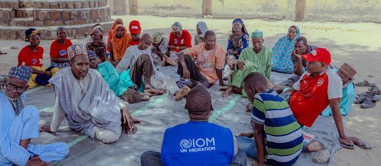 1.3m people displaced by insecurity in North-West — IOM